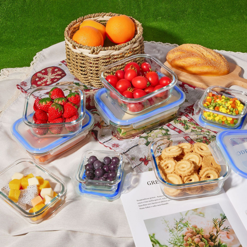 Boîte de conservation alimenta - Meal Prep Oven Safe Containers avis et prix